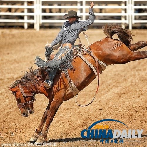 九游-Karsa赛事官方发布败北新规，加拿大队争议不断！的简单介绍